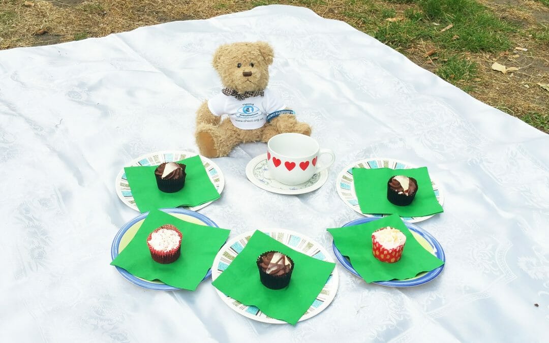 Join CHECT’s Teddy Bears Picnic
