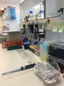 image of a laboratory