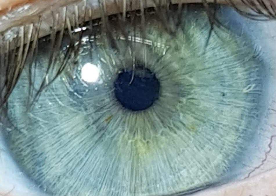 A close up image of a blue artificial eye that John created.